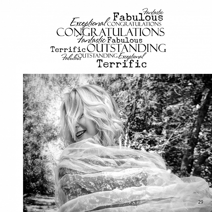 Портфолир зображення 3